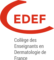 Logo cedef